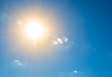 Sunce