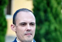 Aleksandar Vujić Subotić