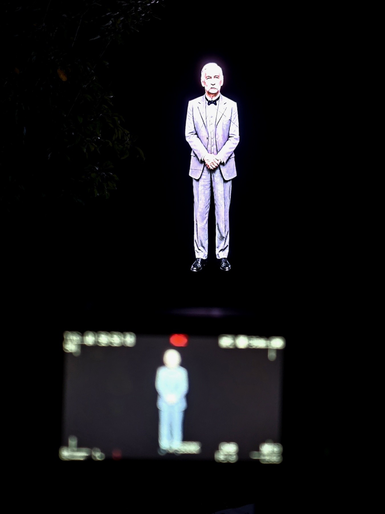 Hologram Ljubomir P. Nenadović