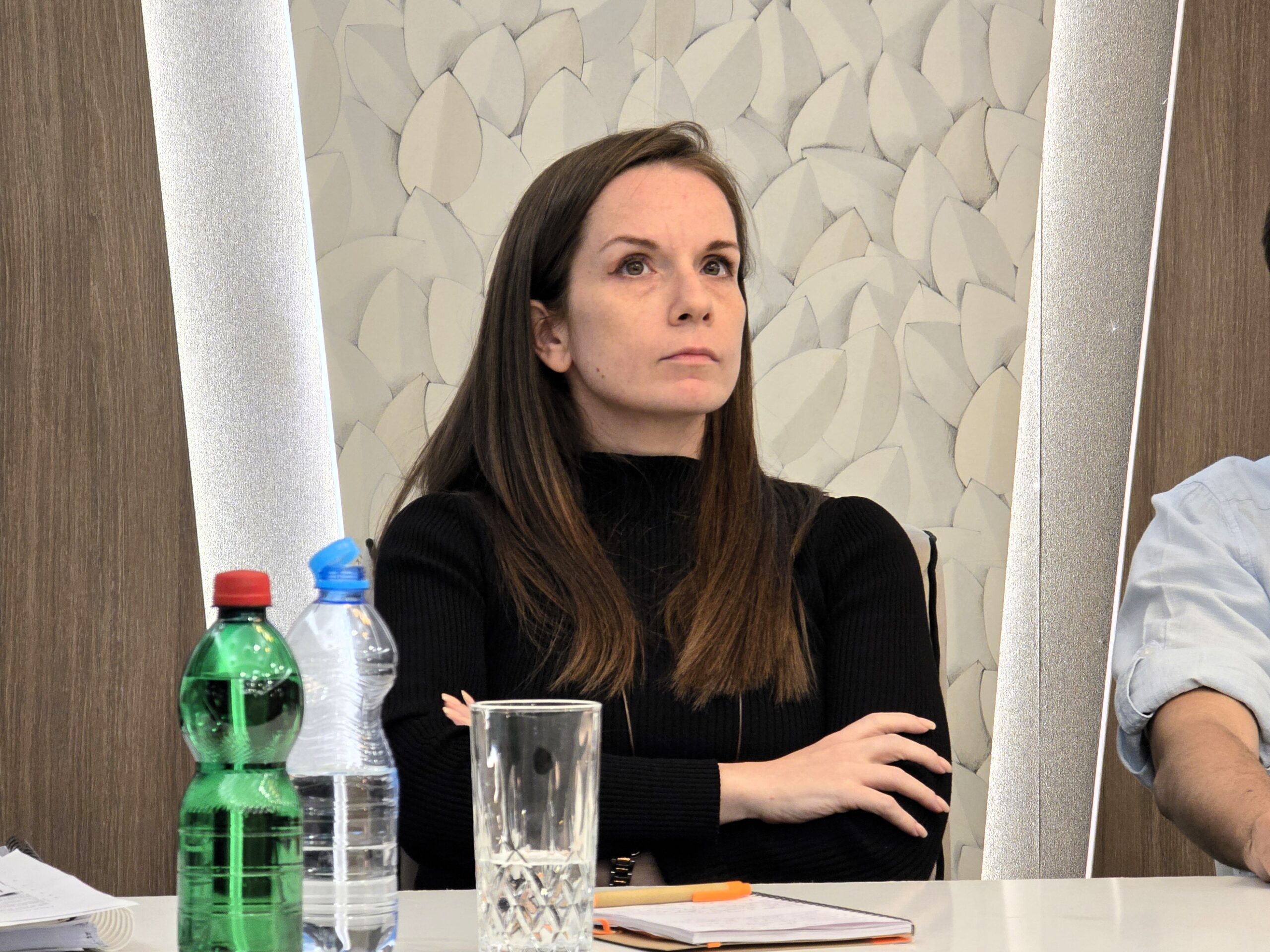 Milica Jovanović Milica Jovanović